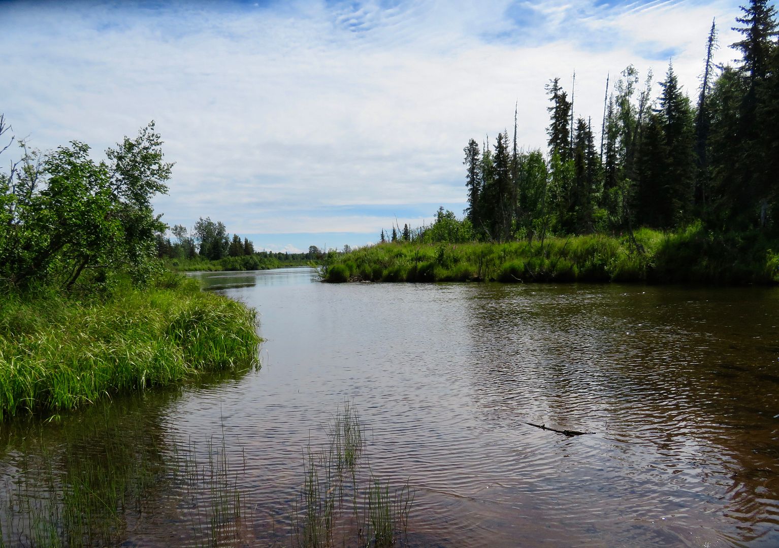 Aniak River Alaskapart Ii Utah Wildlife Network 